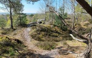 Ermenonville : Grand sport 