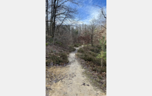 Nouvelle édition de la Cernaysienne VTT à Cernay-la-Ville